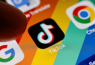 法国宣布禁止政府人员手机上使用TikTok和推特等