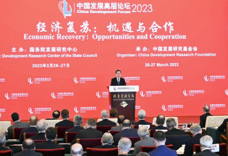 中共副总理丁薛祥演讲 习近平“重大国策”