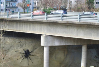 惊悚！温哥华桥底突现一只巨大黑色怪物 网友联署快救它