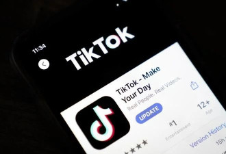 瑞典军方宣布禁止雇员在设备使用TikTok