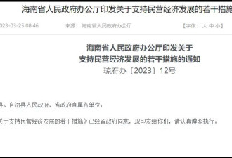 胡锡进:海南对民营企业涉案人能不捕不捕