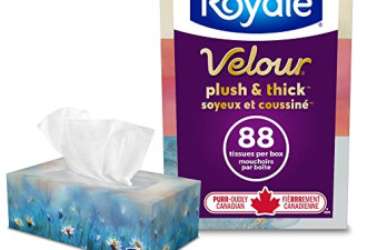 Royale Velour 柔软3层面巾纸 6盒
