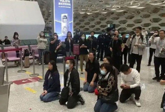 深圳暴雨航班取消，旅客当场下跪…网友炸锅