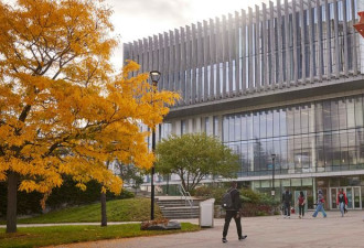 约克大学校园内发生刺案 男子重伤