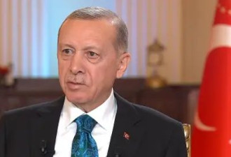 埃尔多安：不会允许西方将土耳其拖入对俄战争