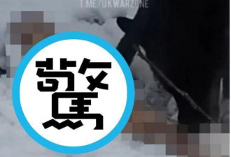 更多俄兵变炮灰！曝尸荒野成狗粮被啃食