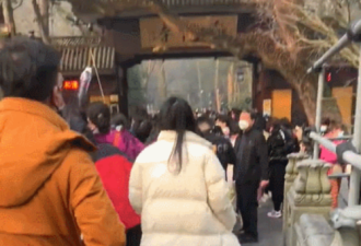 没想到，上海的寺庙真的越来越潮了