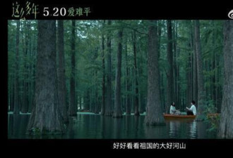 扬州绝美“水上森林”在这部电影里入镜啦