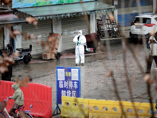 新冠溯源:有关中间宿主的新发现带来新疑问- 生态健康与科技
