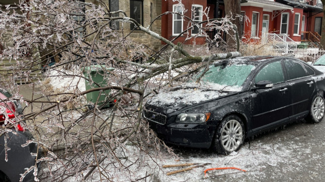 Freezing rain brings down trees in Montreal. (Matthew Gilmour/CTV)