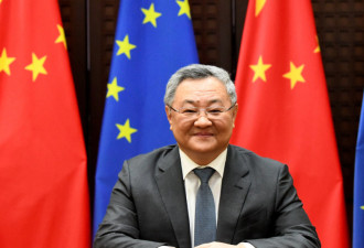 中国驻欧盟大使傅聪推特上关注情色账号 被方舟子抓包