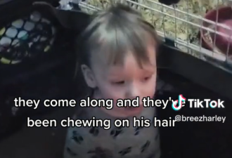 【视频】加拿大母亲发现儿子的头发“离奇消失”！