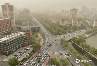 中国专家惊语：沙尘暴无须根治且有利全球生态