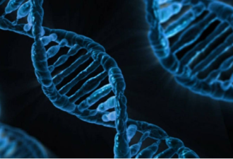 人类DNA藏数百万年前病毒 能助抗癌