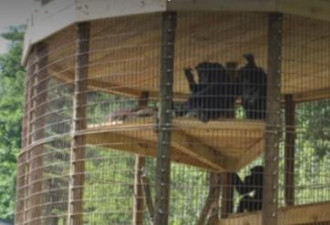 美国官员挪用30万美元建动物园 为自己开的民宿引流