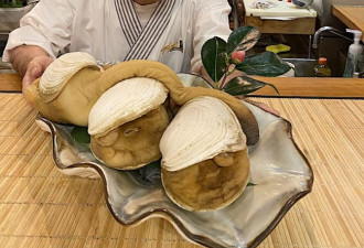 日料海鲜盛宴：象拔蚌Omakase海洋最珍味
