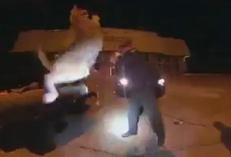 【视频】巨大野山猫钻入车底 活捉竟把它彻底激怒