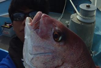 日本一小哥海边钓鱼 竟钓到诡异的东西！