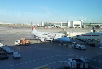 男子乘航班回加拿大 两件行李被收了超过400加元