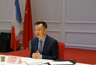 卢沙野口出狂言，法国怒了：中国政府出面说明！