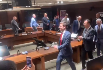 “一群男政客穿着粉色高跟鞋” 联邦交通部长视频引热议