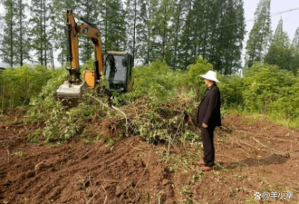 港媒：中国砍树还耕 20年退耕还林政策下架