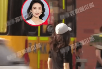 44岁章子怡接娃放学 女儿读普通公立学校