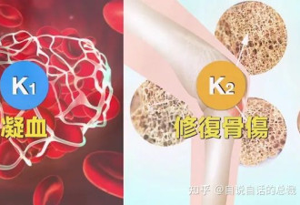 78年前 他把炼狱带到人间 从此我们再也回不去了