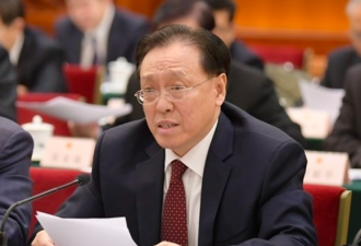 林念修不任于国家发改委 简历从官网撤下