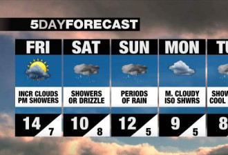多伦多未来四天持续低温降雨