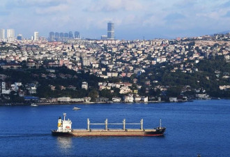 俄媒：土耳其外长指责英美有意破坏黑海粮食协议
