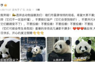 张馨予发博呼吁文明观赏大熊猫 配表情包