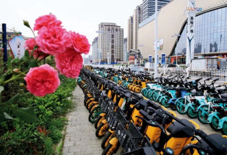 高价拍卖之风被叫停！这些城市靠共享单车创收？
