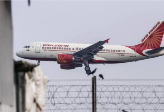 太扯了：搭印度航空班机 乘客被蝎子螫伤