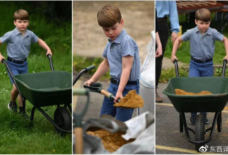 5岁路易小王子首次“工作”, 运土很卖力