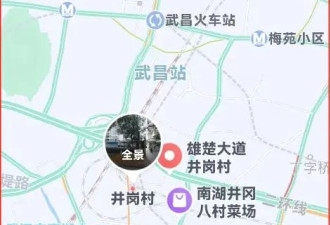 武汉“黑老大”黄大发落网 引发官场地震？
