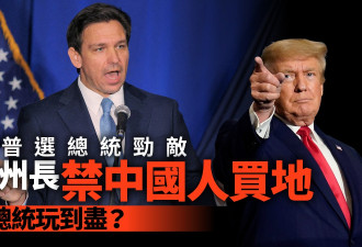 佛州7月起禁中国人买地 德桑蒂斯“中国牌”造势选总统？