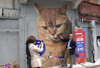 巨大猫咪进驻上海 冷清老街秒成网红打卡地