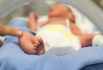 英国首批“三亲婴儿”已经出生了！