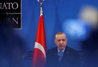 土耳其大选：埃尔多安如果输了，会发生什么