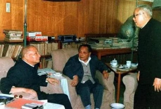 苏晓康：劝阻“总加速师”，不也是一个孬种？