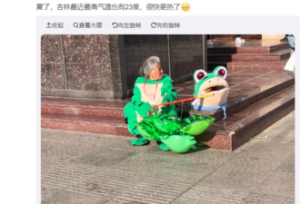 &quot;卖崽青蛙落网&quot; 上海容不下一只小青蛙？