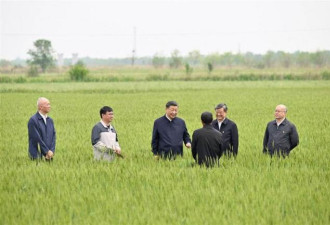 李强怎么想？习近平发话，谈地摊经济