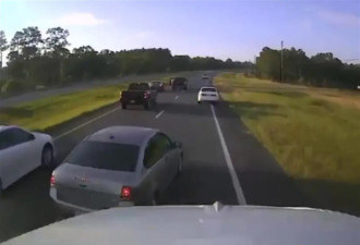 为帮乌龟过马路，美国一司机高速公路停车致多车相撞