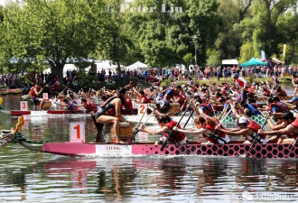 华商会宣布第35届多伦多国际龙舟节开幕