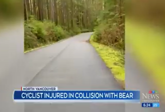 加拿大网红步道 男子骑车迎头撞上黑熊 当场吐血骨折