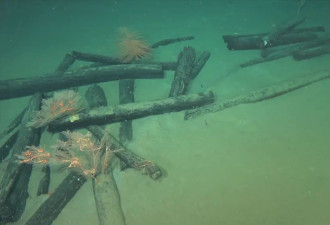 世界级重大考古发现！中国南海发现两处古代沉船