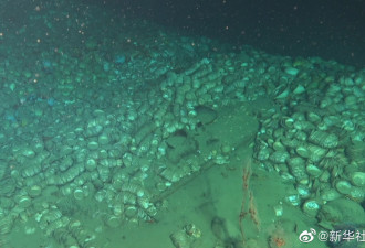 中国在南海发现两处古代沉船 深海拍到震惊一幕…