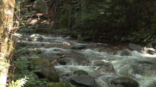 The creek at Cyprus Falls Park is seen. (CTV)
