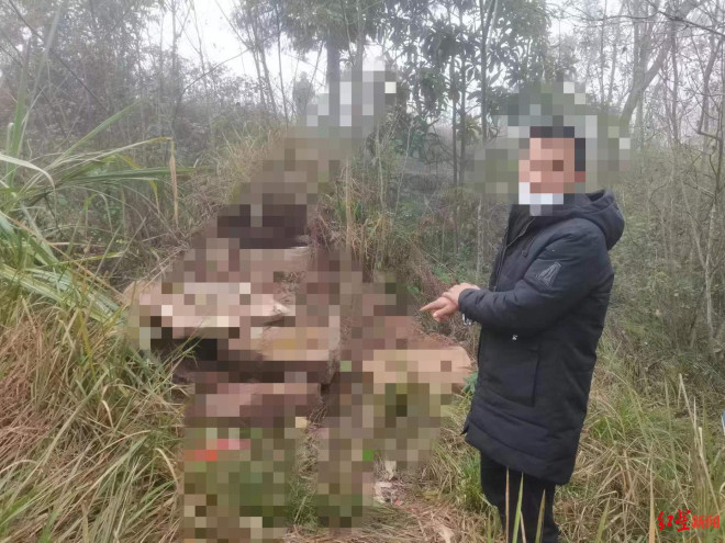 两男子讨债未果竟挖对方祖坟盗走骨灰盒逼其还钱,犯盗窃骨灰罪双双获刑|盗窃|获刑|南充市_新浪科技_新浪网